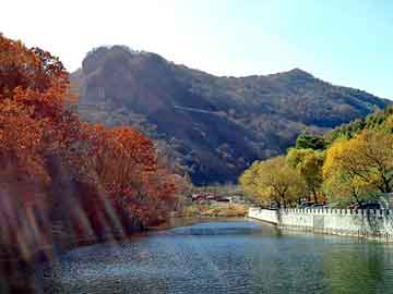 新澳天天开奖资料大全旅游团，顺平桃花节